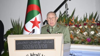 Women participated in the new, victorious and rising renaissance of Algeria